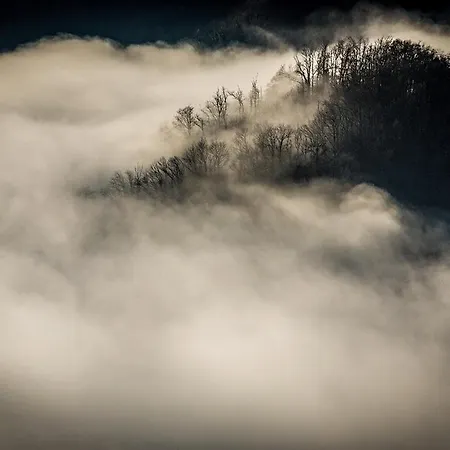 Roca Апартаменты Сан-Мартин