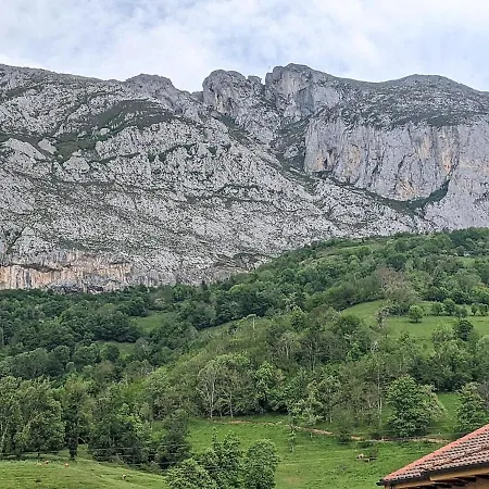 Roca