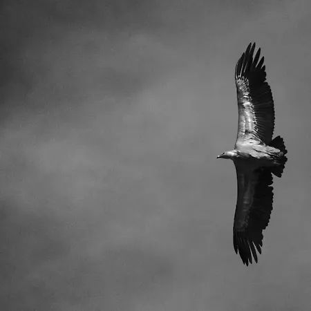 Апартаменты Roca *